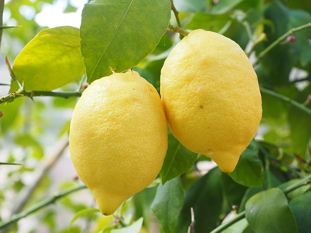 #7 Lemons
