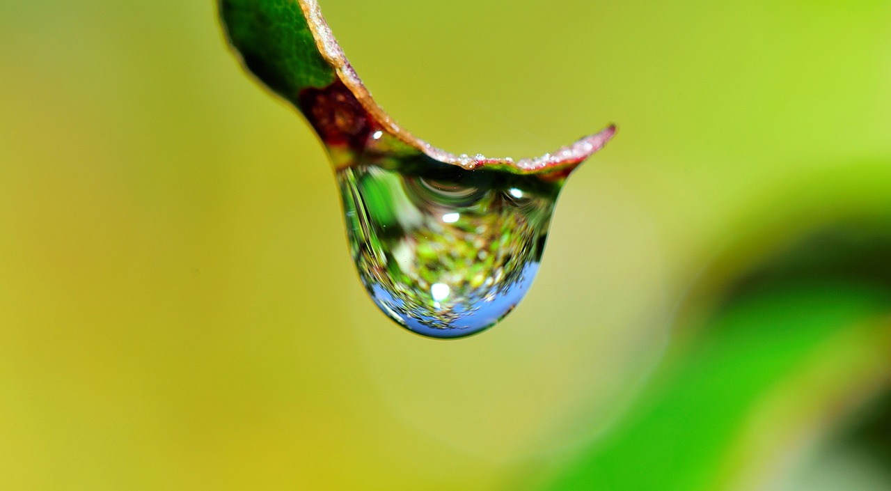 water water