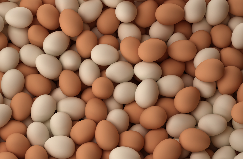 #7 Livestock and Poultry Products