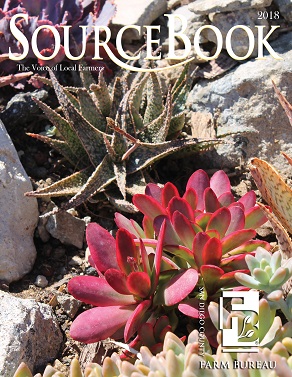 Source Book Source Book