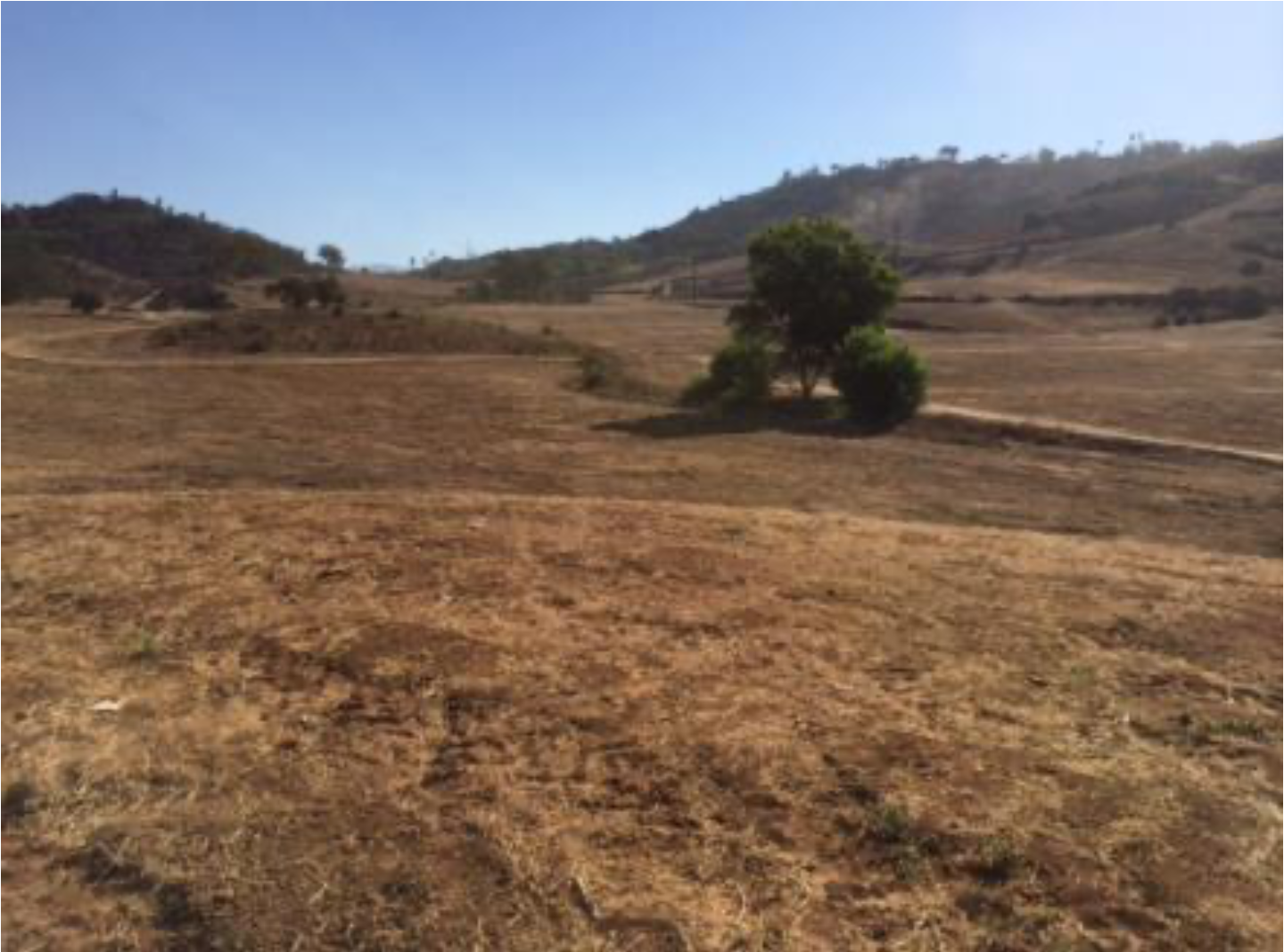 Classifieds The San Diego County Farm Bureau